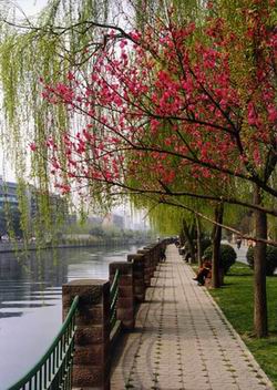 Chengdu, Pittoresk zicht